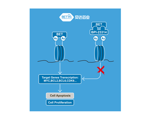 微信图片_20190318102237_副本.jpg 微信图片_20190318102237_副本.jpg