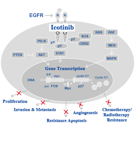 1585214381531055.jpg 微信图片_20200326171617.jpg