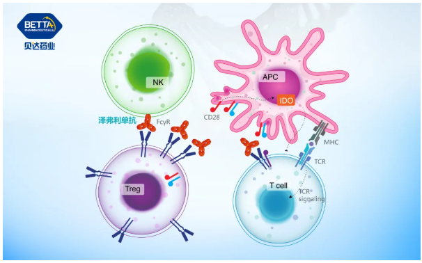 1622099582130493.png 2.png