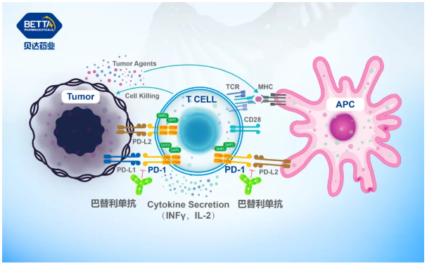 1622099588121883.png 3.png