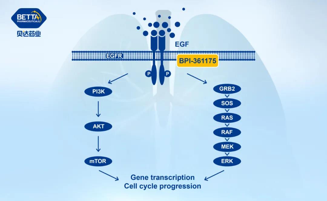 1638762164148760.jpg 微信图片_20211206114254.jpg