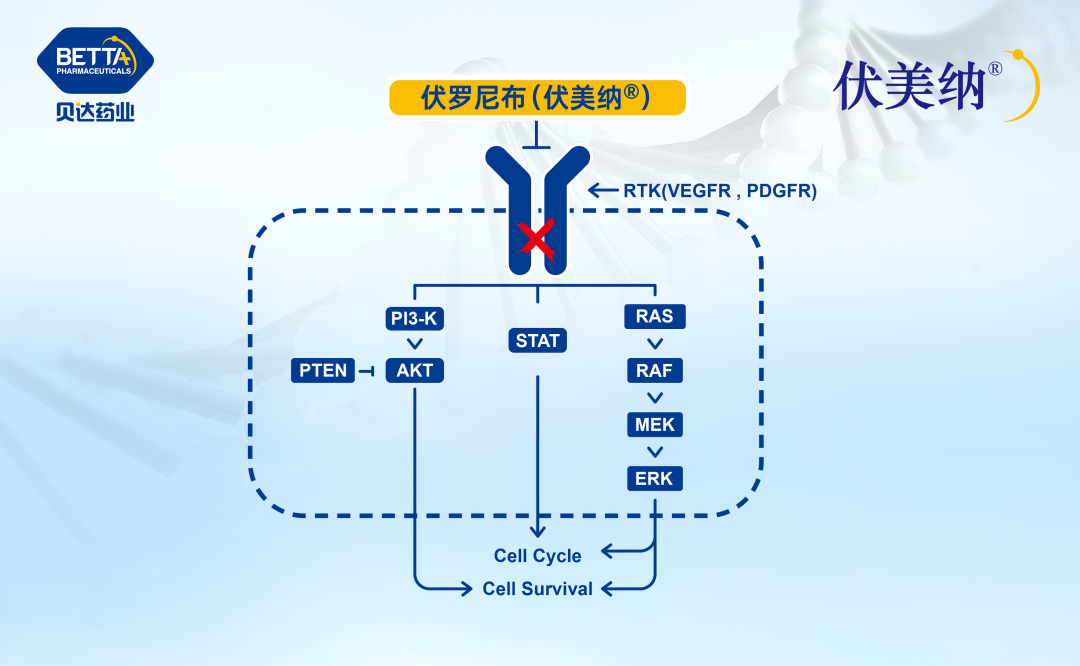 1686229193943953.jpeg IMG_0177.jpeg