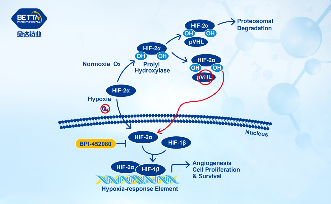 1686646688697804.jpg 微信图片_20230613165753.jpg