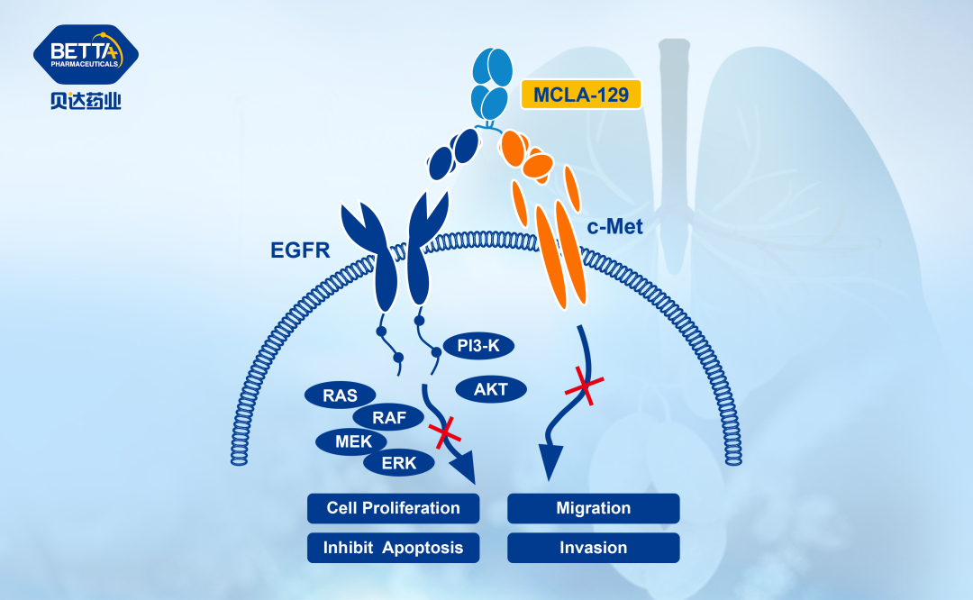 1695953984802840.jpeg 355bf316177a2d4b77599fec750015a7.jpeg