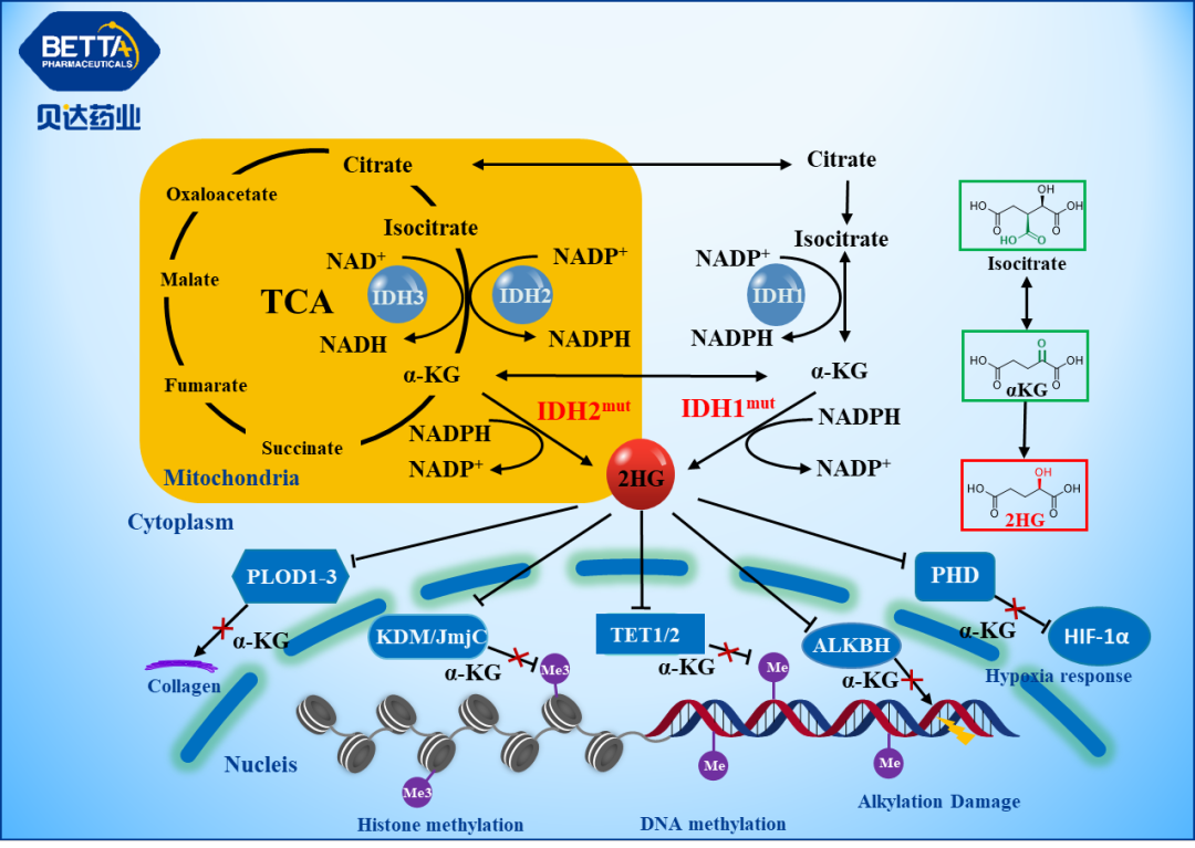 1704704480574133.png 微信图片_20240108170010.png
