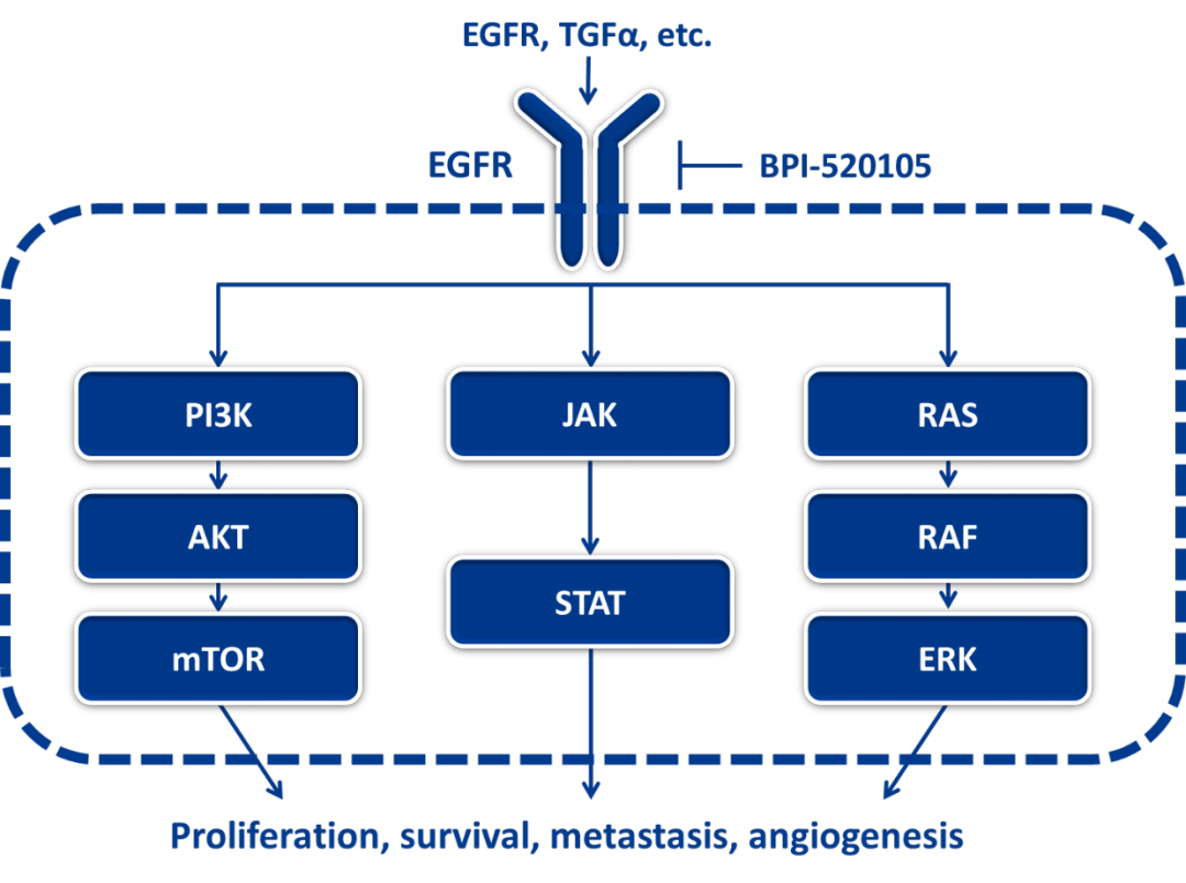 1704704859938174.png 微信图片_20240108170654.png