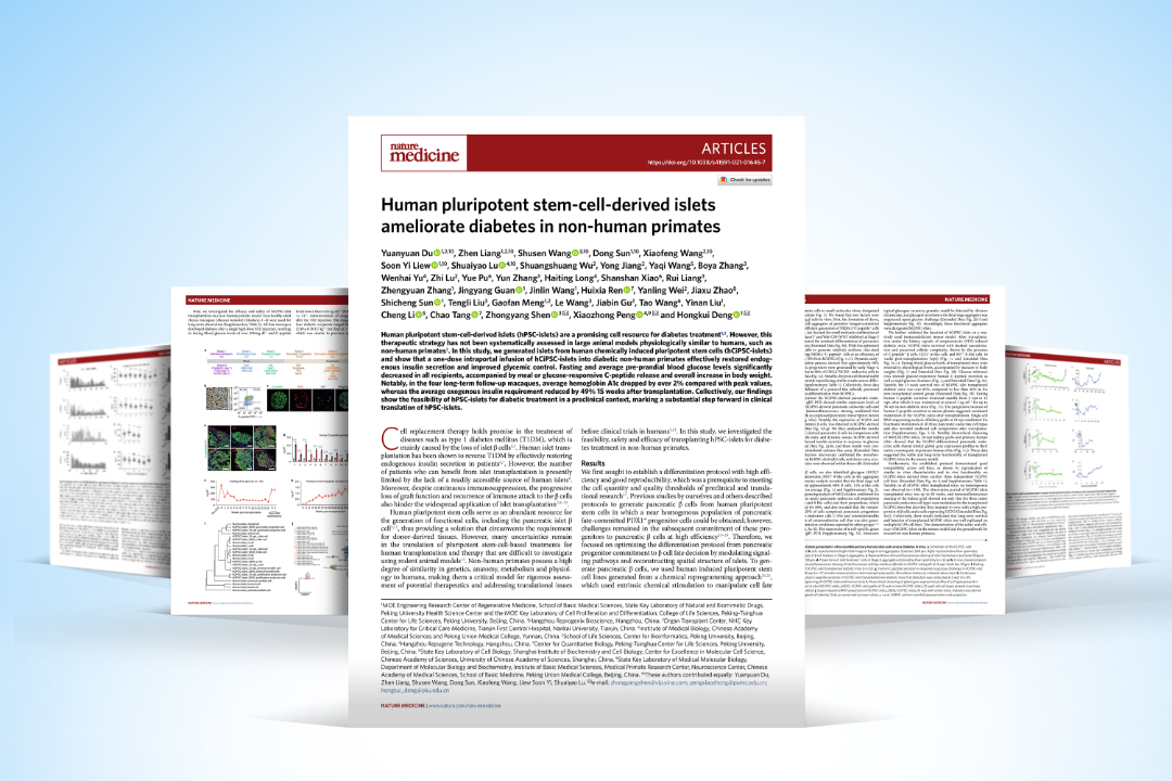 1730685753181280.jpg 3.jpg