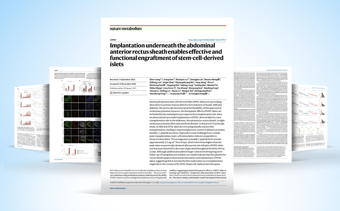 1730685763663288.jpg 4.jpg